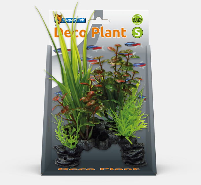 DECO_PLANT_S_ROTALA_FRONT_ec4c8