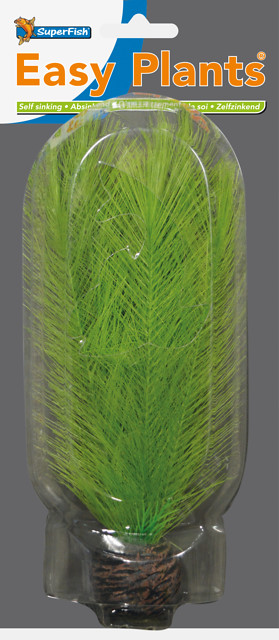 E_20_CM_NR._11_SILK_FRONT_6e8ac