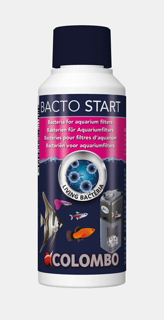 _BACTO_START_250_ML_FRONT_fae6a