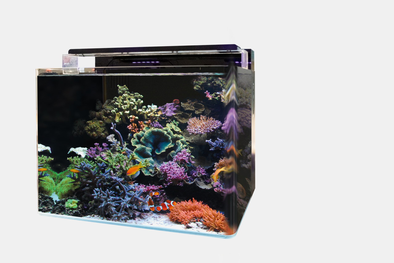 REEF_120_AQUARIUM_PRODUCT_888da
