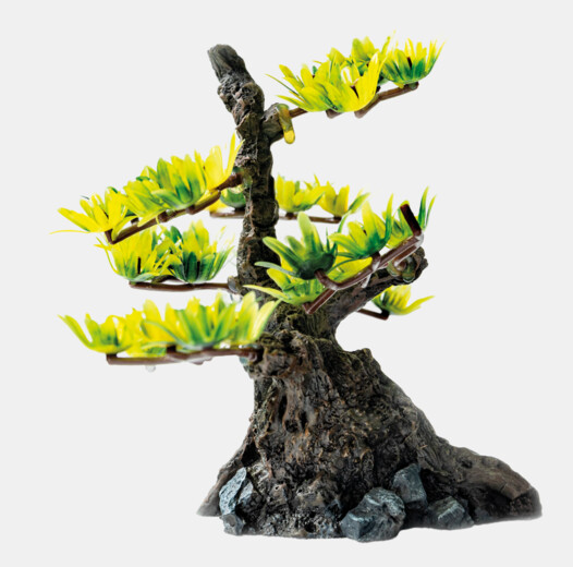 6-sf-deco-bonsai-xs-front-3afa9