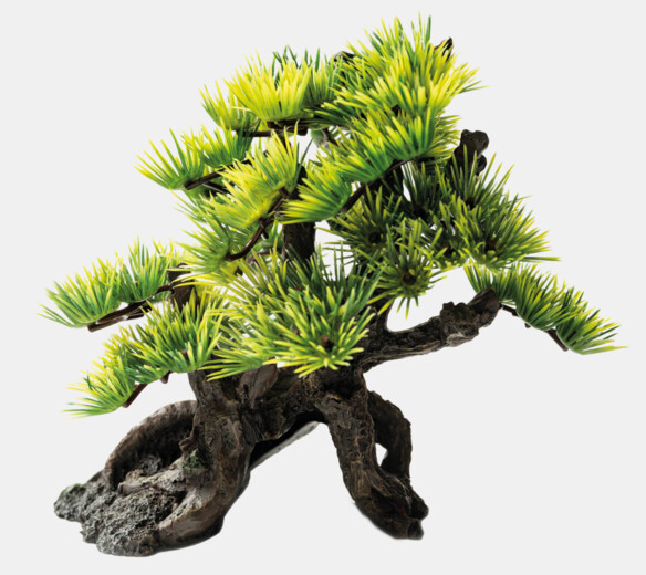 53-sf-deco-bonsai-s-front-d72ee