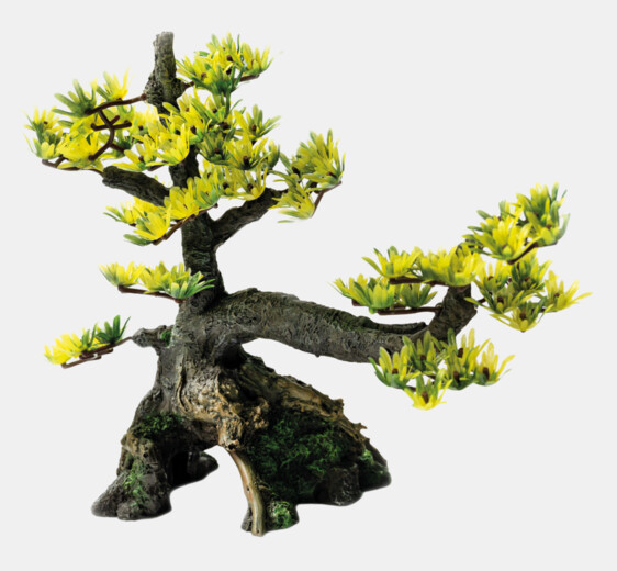 60-sf-deco-bonsai-m-front-c5dd8