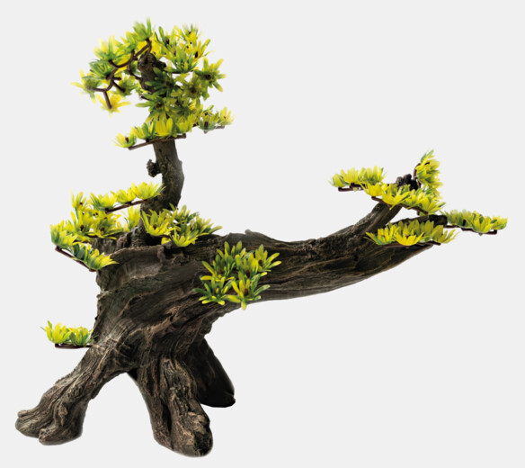 77-sf-deco-bonsai-l-front-b736b