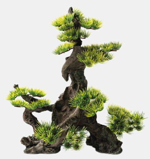 sf-deco-bonsai-xxl-front-f4eda