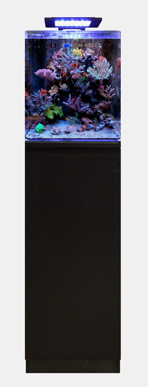 reef-60-aquarium-product-fb0dd