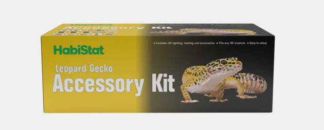 kit accessoire gecko léopard 1