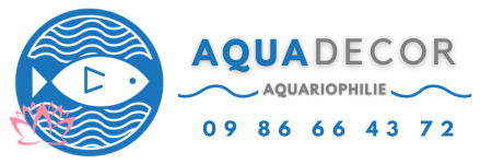 Aquadecor : Spécialiste en aquariums et terrariums à Nice, livraison en France