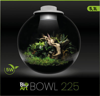 OART_BOWL_225_WHITE_FRONT_16baa