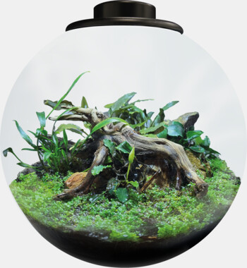 RT_BOWL_225_BLACK_PRODUCT_6a6d7