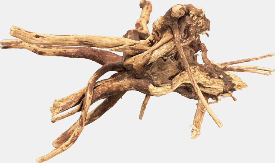 BIOART_SPIDERWOOD_PRODUCT_ee39b