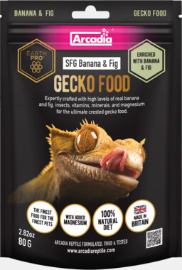 _BANANA_FIG_80_GRAM_FRONT_d3575