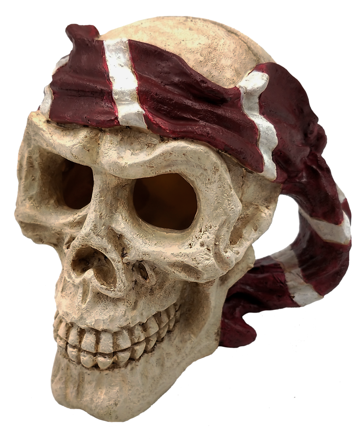 8715897291173 SF SKULL RED PIRATE PRODUCT-900