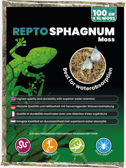 REPTO SPHAIGNE 2