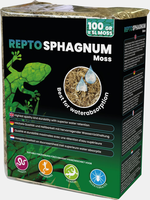 REPTO SPHAIGNE