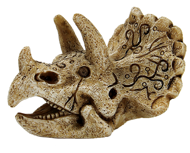 8715897291128 SF SKULL TRICERATOPS S PRODUCT