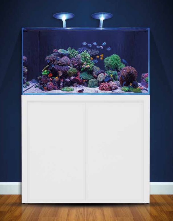 BLUE MARINE REEF 350 BLANC KIT COMPLET AQUARIUMS EAU DE MER aquadecor