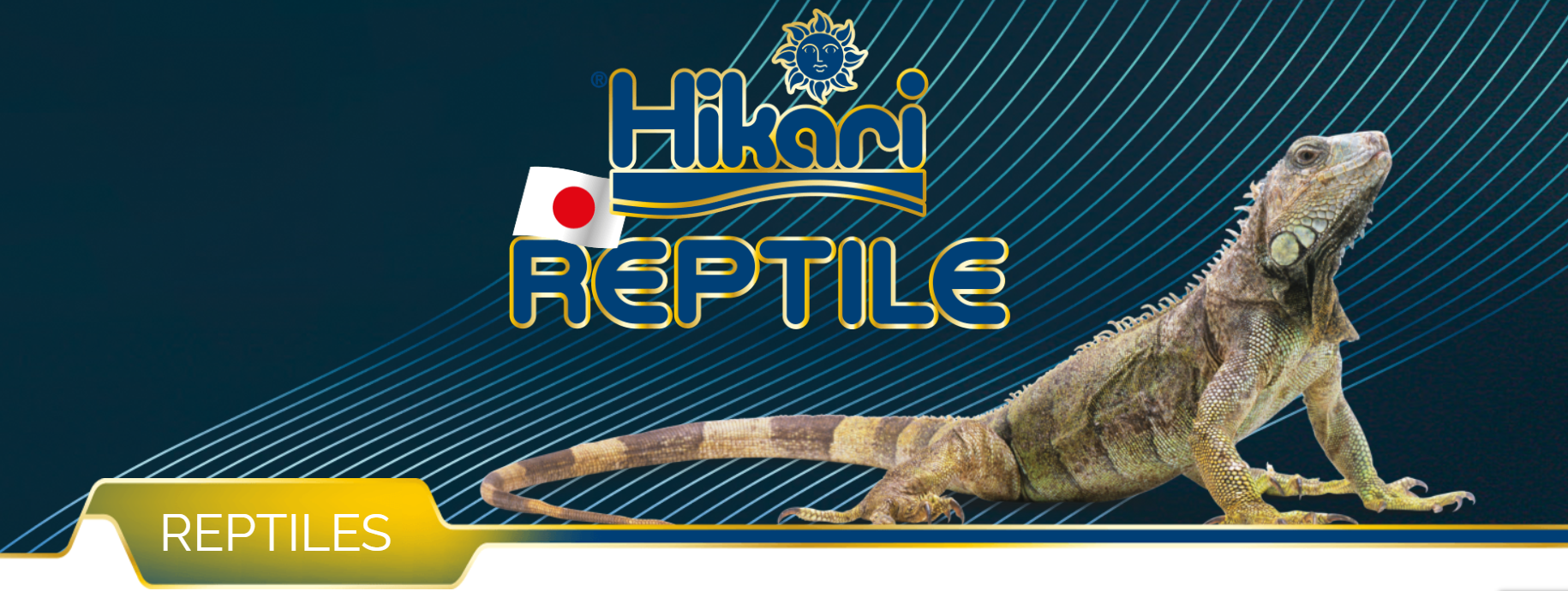 Nourritures reptiles 