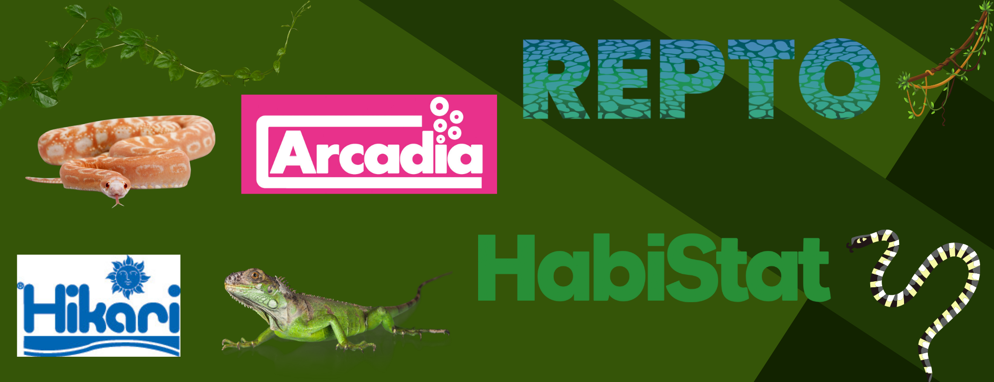 design sans titre 4
