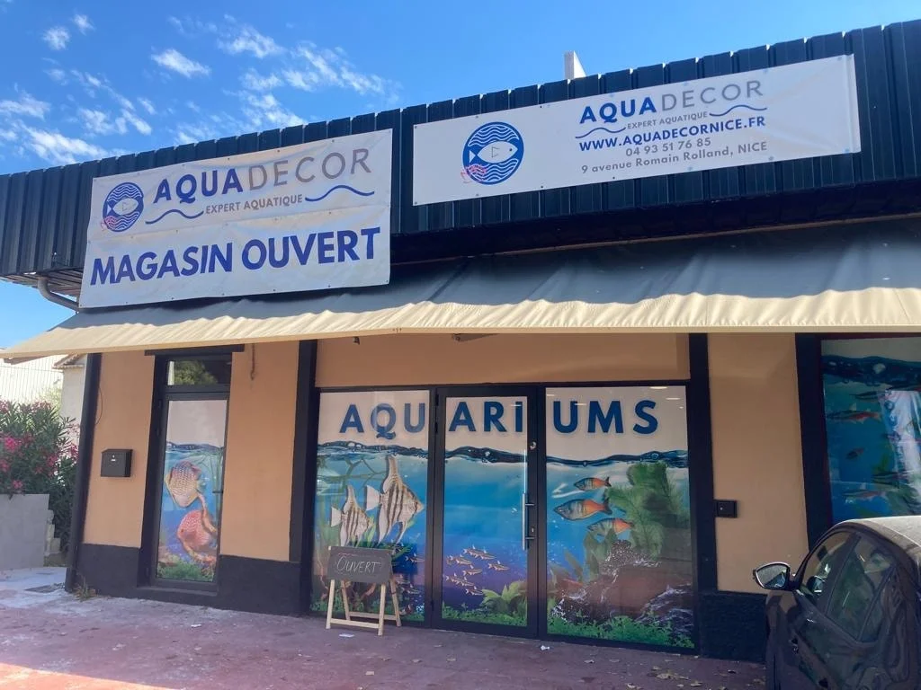 aquadecor cagnes sur mer exterieur