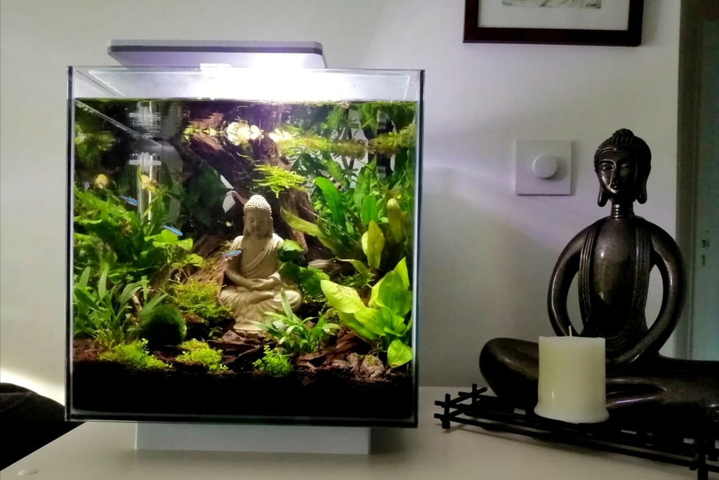 Superfish Aquarium Qubiq Pro Blanc Aquariums Aquariums Quip S