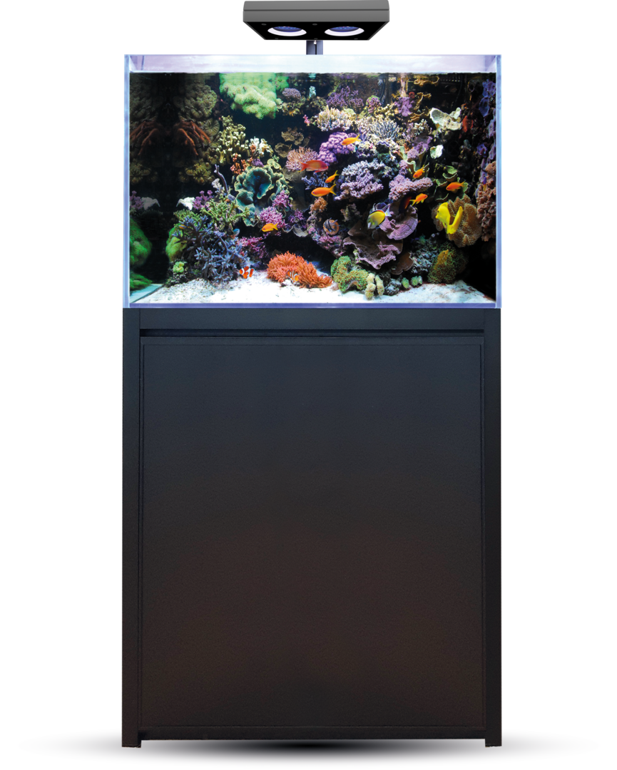Blue Marine Reef 200 noir Kit Complet AQUARIUMS EAU DE MER aquadecor