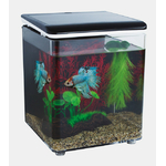 _8_AQUARIUM_BLACK_PRODUCT_22a6a