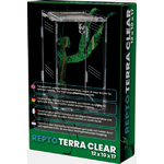 terrarium verre clair 2