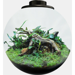 RT_BOWL_225_BLACK_PRODUCT_6a6d7