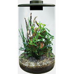 RT_CYLINDER_BLACK_PRODUCT_83272