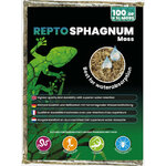 REPTO SPHAIGNE 2