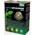 REPTO SPHAIGNE