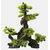 sf-deco-bonsai-xxl-front-f4eda