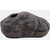 O_SHELTER_BROWN_M_PRODUCT_7f6e8