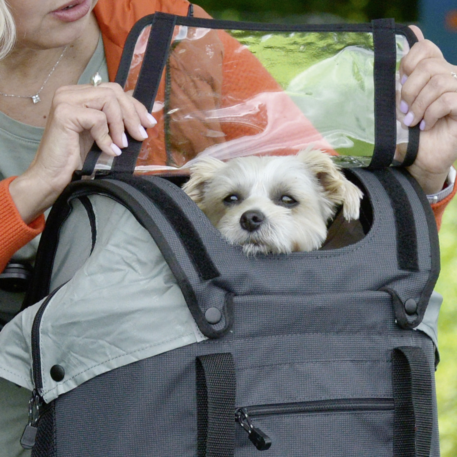sac-a-chien-sur-velo-premium
