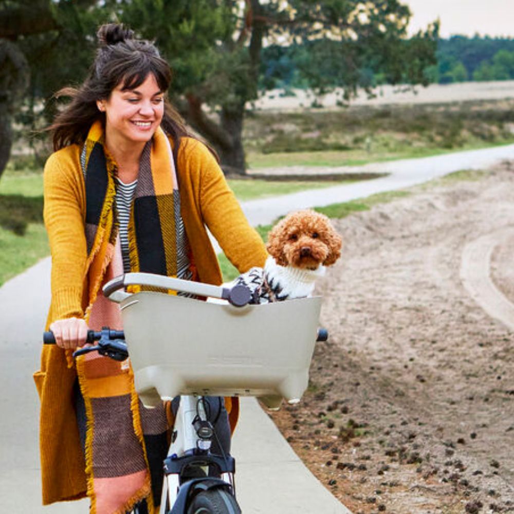 Panier vélo chat chiot avec fixation Klickfix (jusqu'à 5kg)