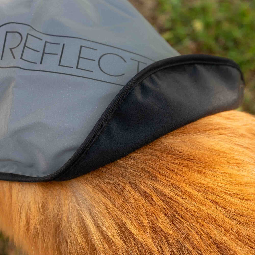 veste-pour-chien-haute-visibilite