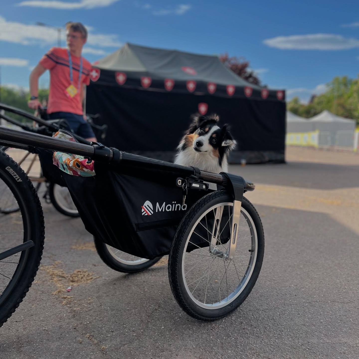 remorque-velo-chien-maniable-made-in-france