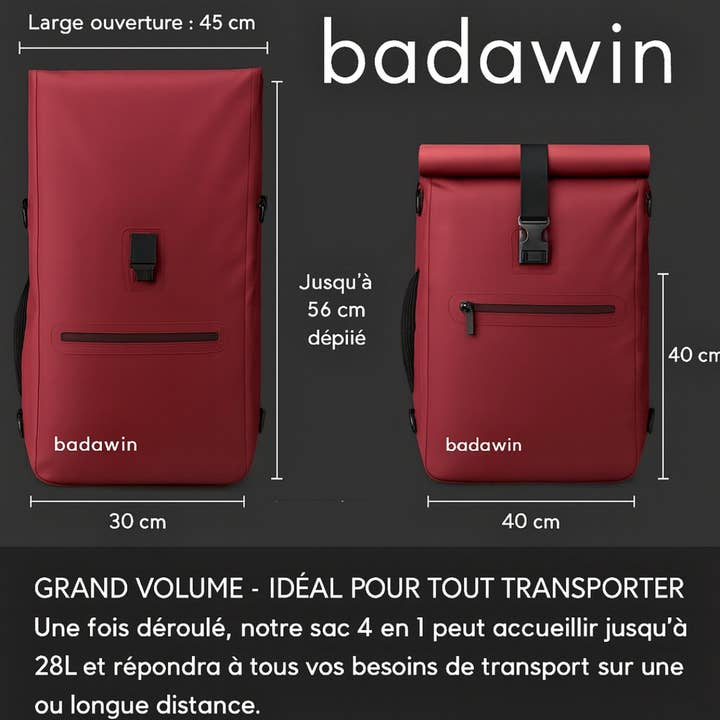 badawin-ali-caracteristiques