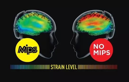 mips.jpeg