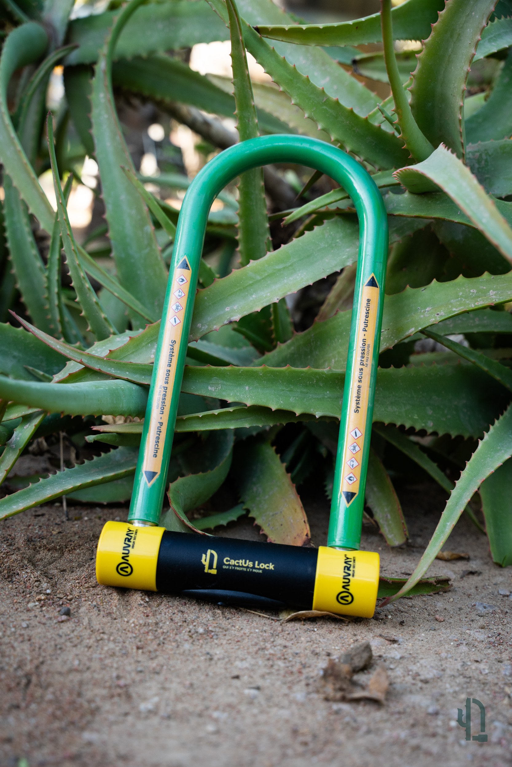 antivol-cactus-lock