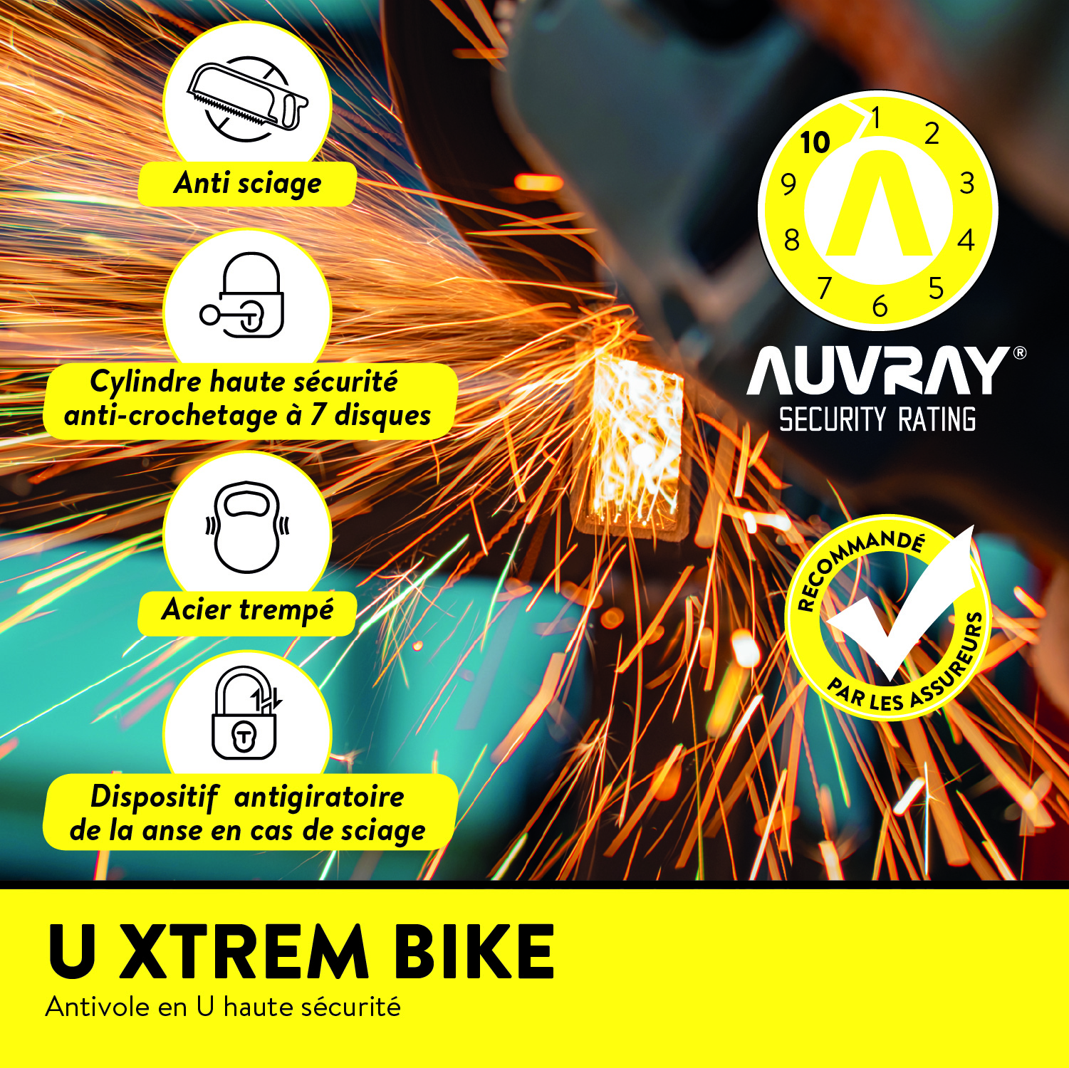 auvray-xtrem-bike