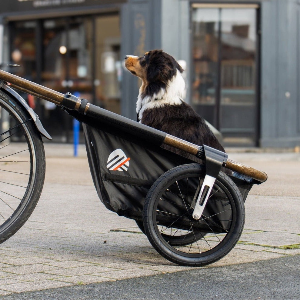 remorque-velo-chien-20-30-kg