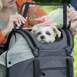 sac-a-chien-sur-velo-premium