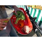 panier-trendy-one-fixation-avant-mts3-rouge