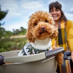 panier-transport-chien-avant-du-velo