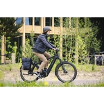 BASIL_MOVE_SINGLE-pannier