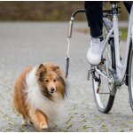 harnais-de-velo-pour-chien