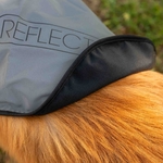 veste-pour-chien-haute-visibilite