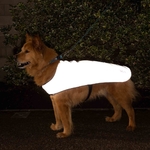 veste-de-chien-pour-balade